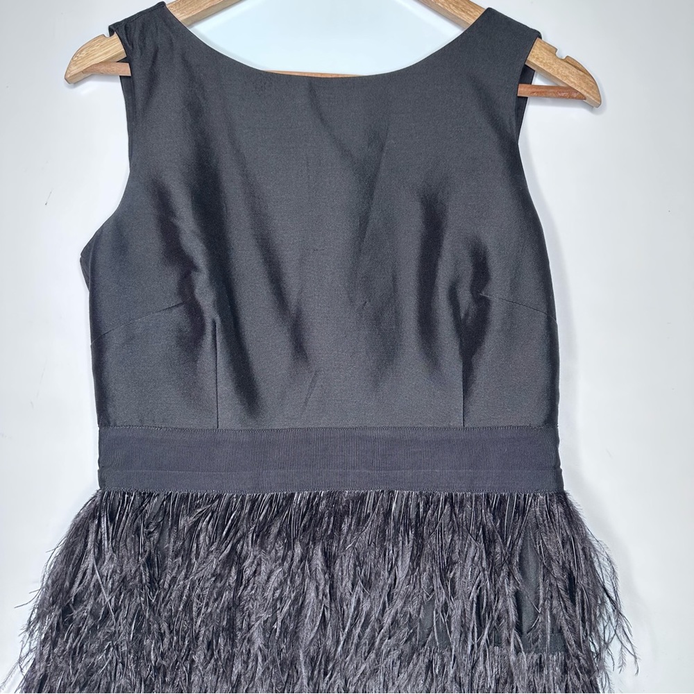 Sail to Sable Black Feathered Dress - Picture 4 of 12